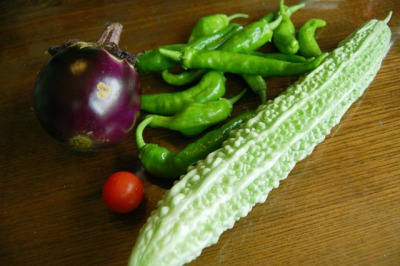 2011_8_2野菜の収穫数01.JPG